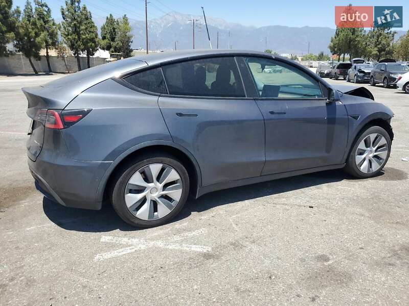 Внедорожник / Кроссовер Tesla Model Y 2021 в Самборе фото 3 Внедорожник / Кроссовер Tesla Model Y 2021 в Самборе