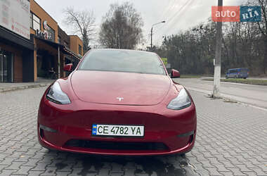 tesla model-y 2025 в Чернівці від професійного продавця Михаил