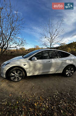 Внедорожник / Кроссовер Tesla Model Y 2022 в Богородчанах