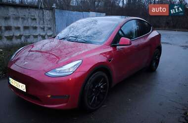 Позашляховик / Кросовер Tesla Model Y 2020 в Києві