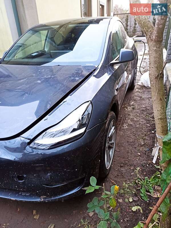 Позашляховик / Кросовер Tesla Model Y 2021 в Самборі