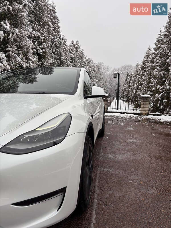 Позашляховик / Кросовер Tesla Model Y 2024 в Івано-Франківську