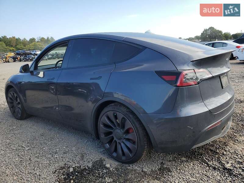 Позашляховик / Кросовер Tesla Model Y 2021 в Львові