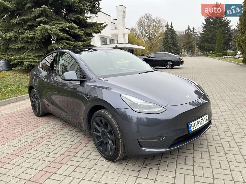 Позашляховик / Кросовер Tesla Model Y 2023 в Тернополі