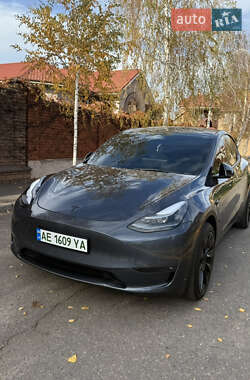 Внедорожник / Кроссовер Tesla Model Y 2023 в Кривом Роге