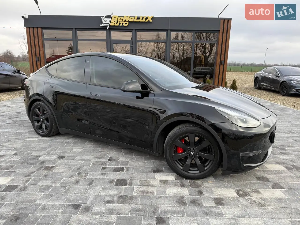 2022 Tesla Model Y - мініатюра 31