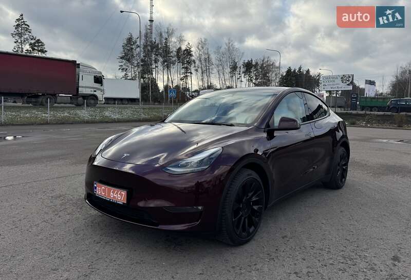 Позашляховик / Кросовер Tesla Model Y 2024 в Ковелі фото 11 Позашляховик / Кросовер Tesla Model Y 2024 в Ковелі