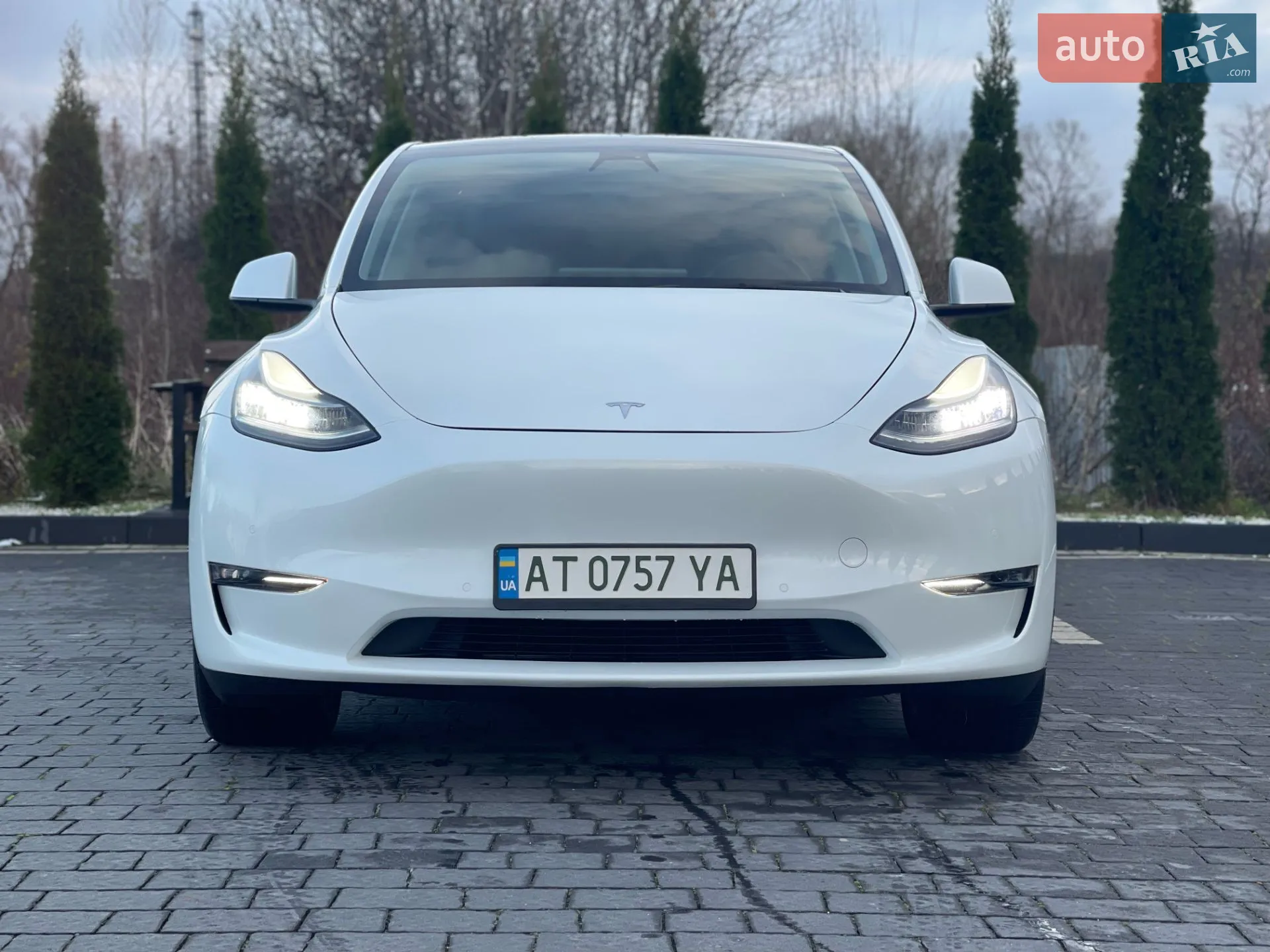 2021 Tesla Model Y - мініатюра 7