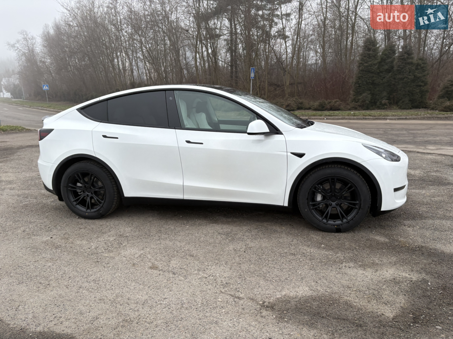 2021 Tesla Model Y - мініатюра 12