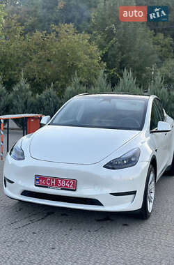 Внедорожник / Кроссовер Tesla Model Y 2023 в Полтаве