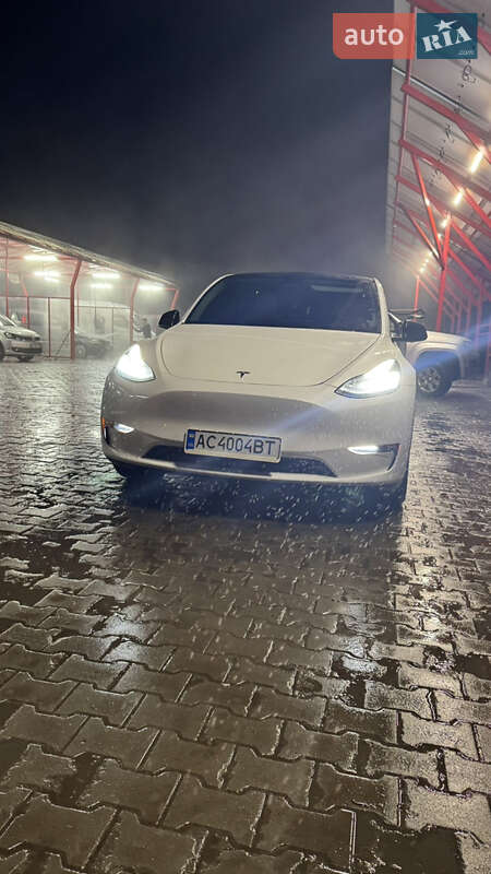 Внедорожник / Кроссовер Tesla Model Y 2020 в Луцке