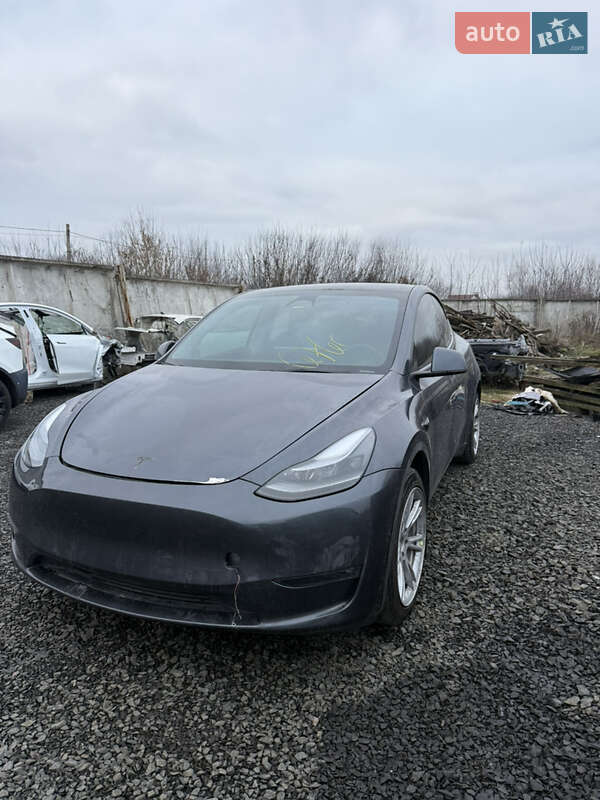 Внедорожник / Кроссовер Tesla Model Y 2022 в Луцке