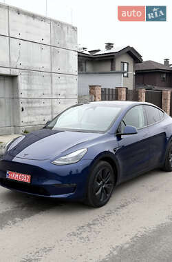 Позашляховик / Кросовер Tesla Model Y 2024 в Києві
