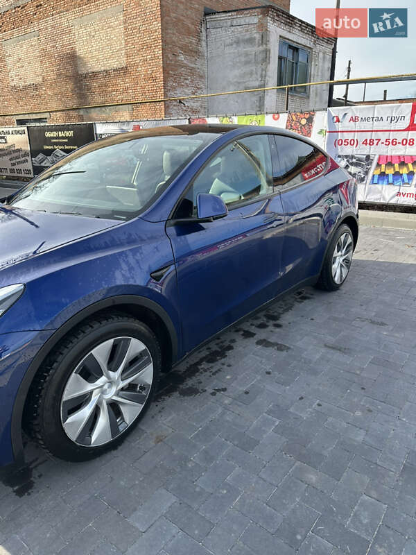 Внедорожник / Кроссовер Tesla Model Y 2020 в Лубнах