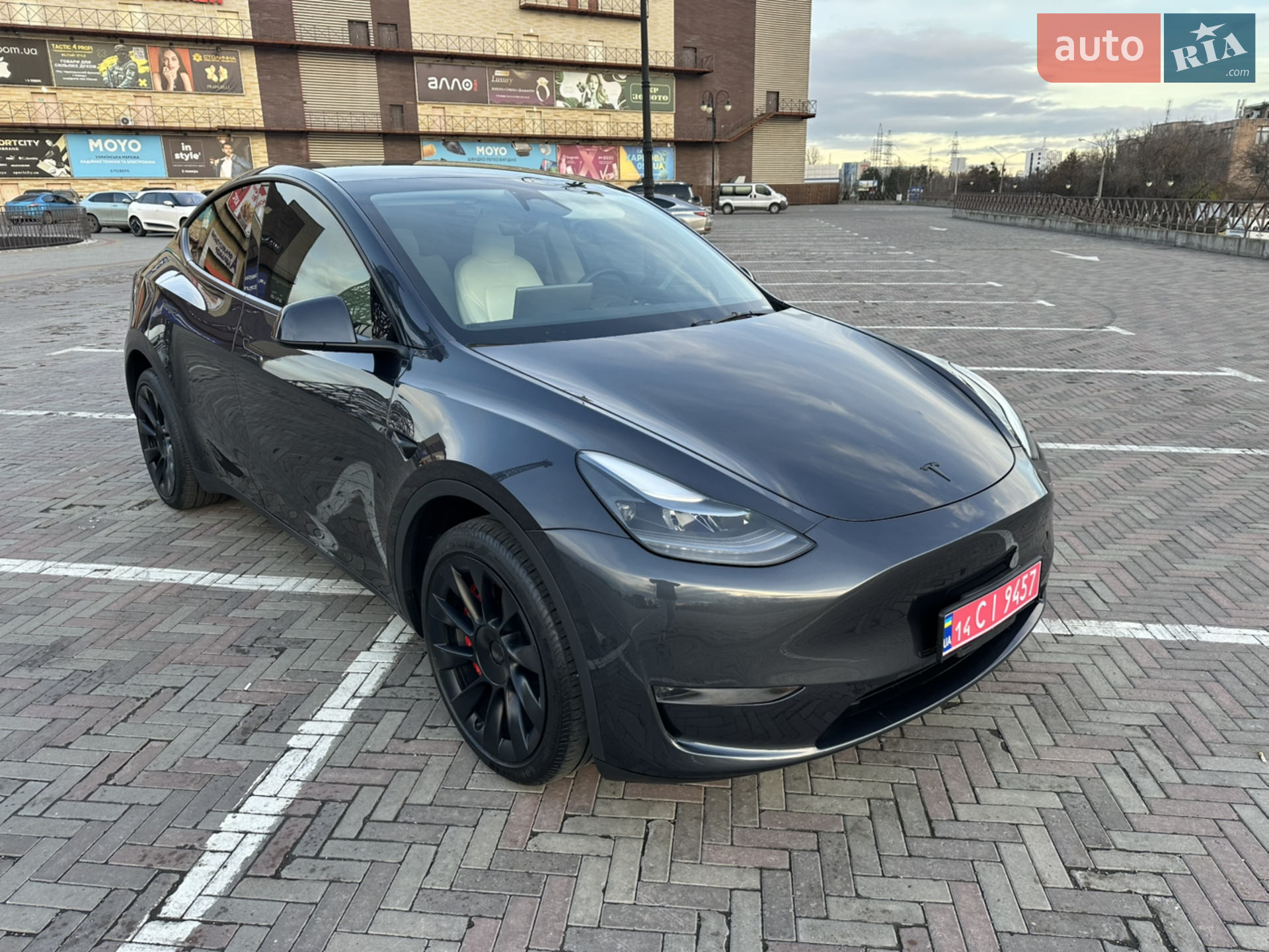 2024 Tesla Model Y - фото 1