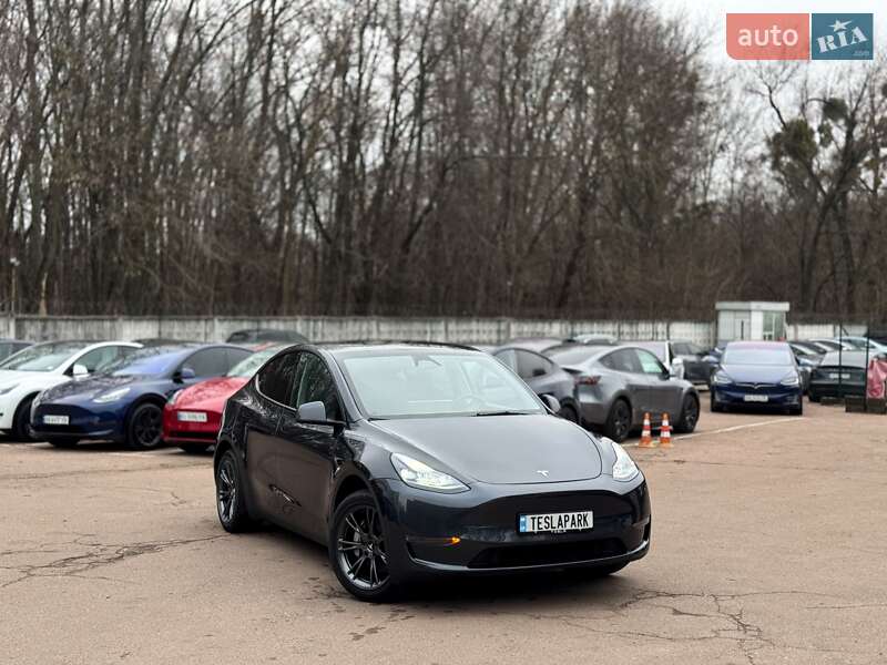 Внедорожник / Кроссовер Tesla Model Y 2024 в Киеве