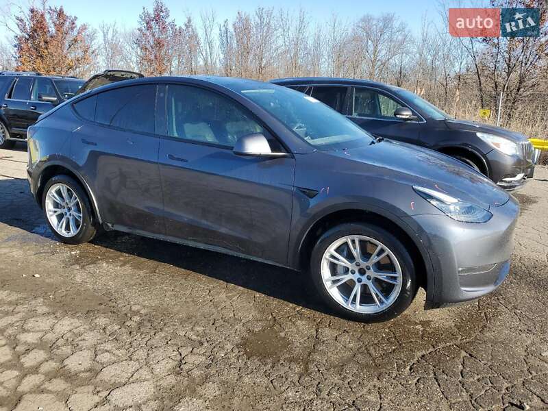 Внедорожник / Кроссовер Tesla Model Y 2021 в Тернополе фото 2 Внедорожник / Кроссовер Tesla Model Y 2021 в Тернополе