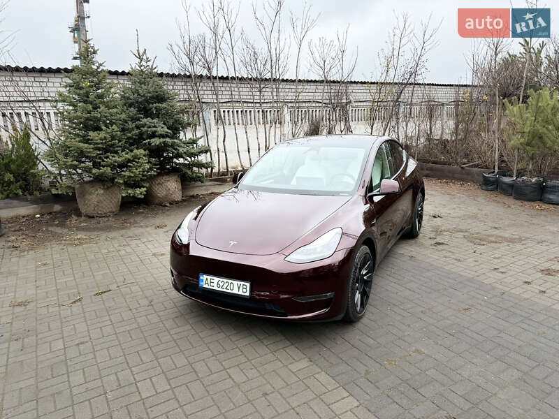 Внедорожник / Кроссовер Tesla Model Y 2023 в Днепре фото 2 Внедорожник / Кроссовер Tesla Model Y 2023 в Днепре