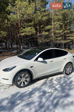 Внедорожник / Кроссовер Tesla Model Y 2023 в Хмельнике