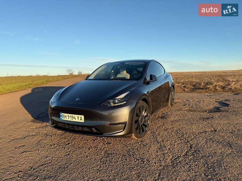 Внедорожник / Кроссовер Tesla Model Y 2024 в Одессе