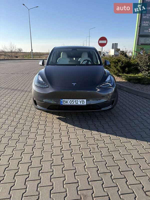 Внедорожник / Кроссовер Tesla Model Y 2021 в Ровно