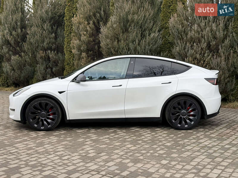 Внедорожник / Кроссовер Tesla Model Y 2022 в Самборе фото 33 Внедорожник / Кроссовер Tesla Model Y 2022 в Самборе