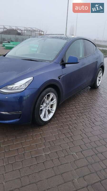 Внедорожник / Кроссовер Tesla Model Y 2023 в Полтаве