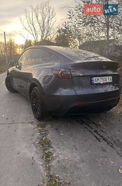 Внедорожник / Кроссовер Tesla Model Y 2023 в Олевске