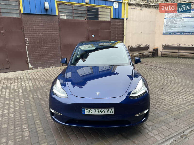 Внедорожник / Кроссовер Tesla Model Y 2021 в Тернополе