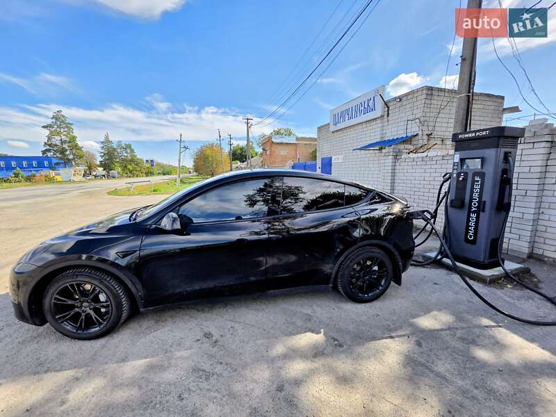 Внедорожник / Кроссовер Tesla Model Y 2021 в Киеве