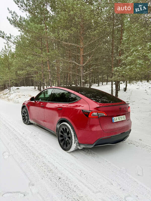 Позашляховик / Кросовер Tesla Model Y 2023 в Броварах фото 3 Позашляховик / Кросовер Tesla Model Y 2023 в Броварах