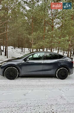 Позашляховик / Кросовер Tesla Model Y 2024 в Броварах