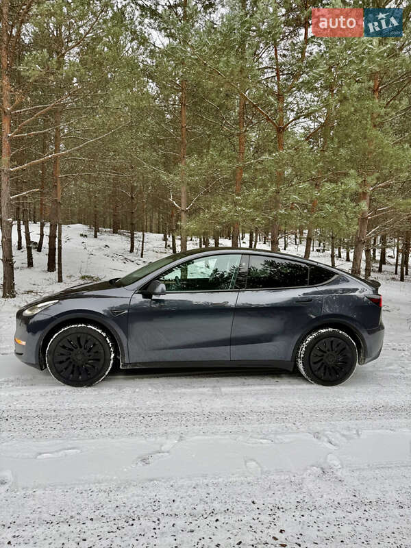 Внедорожник / Кроссовер Tesla Model Y 2024 в Броварах