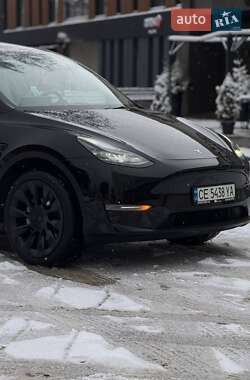 Внедорожник / Кроссовер Tesla Model Y 2024 в Черновцах