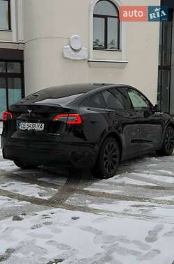 Внедорожник / Кроссовер Tesla Model Y 2024 в Черновцах