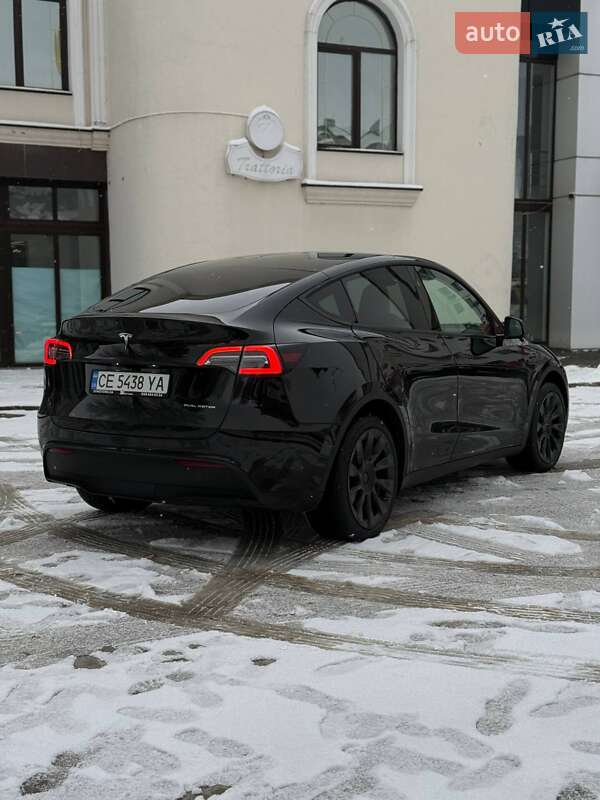 Внедорожник / Кроссовер Tesla Model Y 2024 в Черновцах фото 8 Внедорожник / Кроссовер Tesla Model Y 2024 в Черновцах