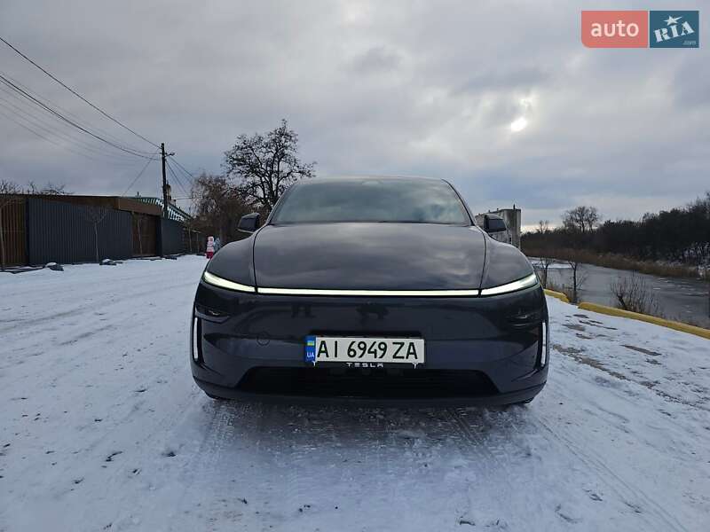 2025 Tesla Model Y, VIN 7SAYGDEE4TA389161:plate — photo 1 (autoria)