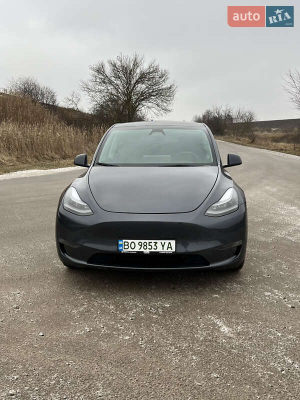 Позашляховик / Кросовер Tesla Model Y 2023 в Тернополі
