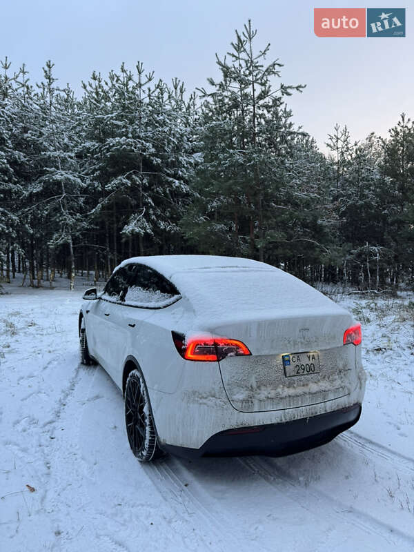 Внедорожник / Кроссовер Tesla Model Y 2021 в Черкассах