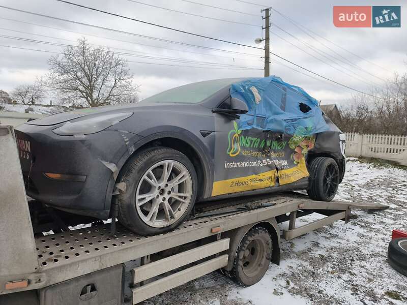Внедорожник / Кроссовер Tesla Model Y 2024 в Белой Церкви