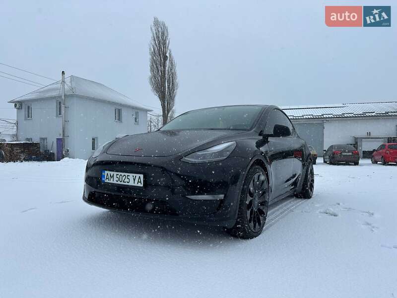 Позашляховик / Кросовер Tesla Model Y 2021 в Києві