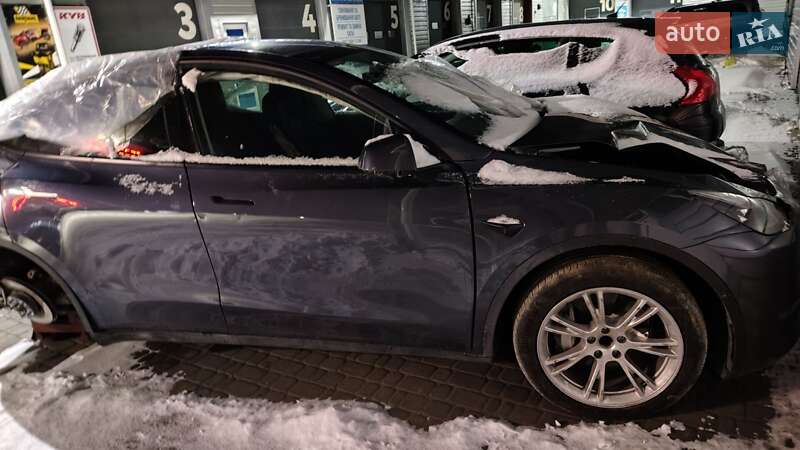 Позашляховик / Кросовер Tesla Model Y 2023 в Білій Церкві