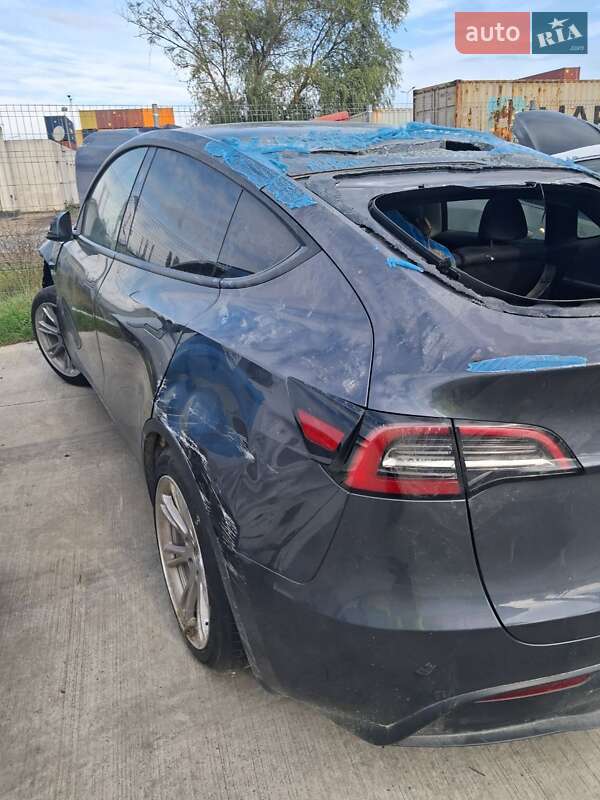 Позашляховик / Кросовер Tesla Model Y 2023 в Білій Церкві
