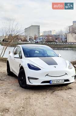 Внедорожник / Кроссовер Tesla Model Y 2020 в Харькове