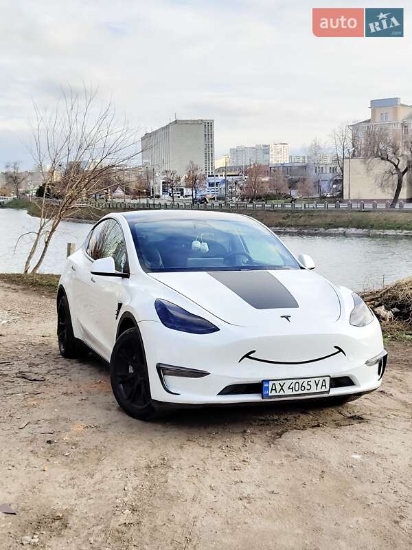 2020 Tesla Model Y, VIN 5YJYGDEE6MF066425:plate — фото 1 (autoria)