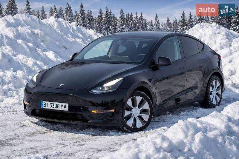 Внедорожник / Кроссовер Tesla Model Y 2024 в Миргороде