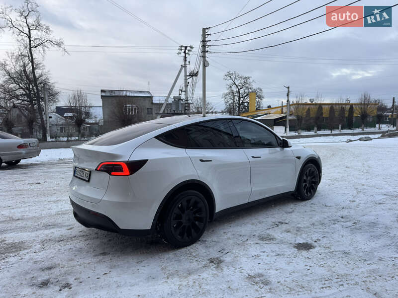 Внедорожник / Кроссовер Tesla Model Y 2020 в Луцке