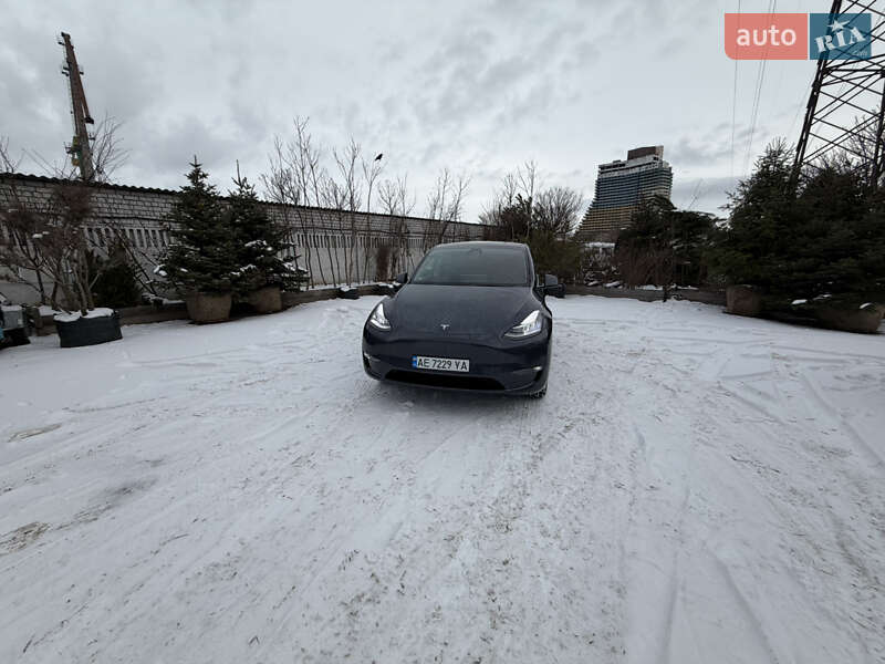 Позашляховик / Кросовер Tesla Model Y 2023 в Дніпрі