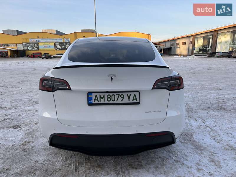 Внедорожник / Кроссовер Tesla Model Y 2022 в Житомире
