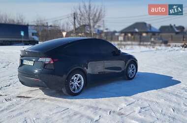 Внедорожник / Кроссовер Tesla Model Y 2021 в Сумах